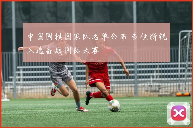 中国围棋国家队名单公布 多位新锐入选备战国际大赛