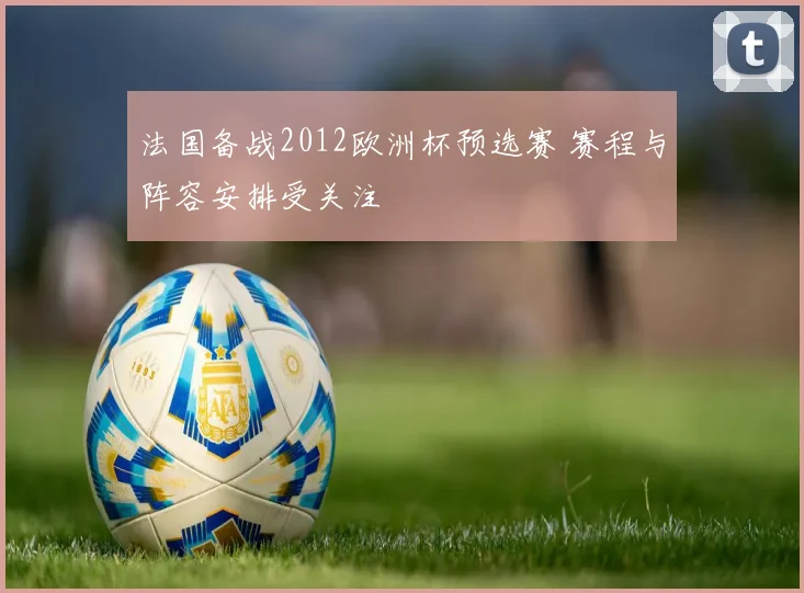 法国备战2012欧洲杯预选赛 赛程与阵容安排受关注